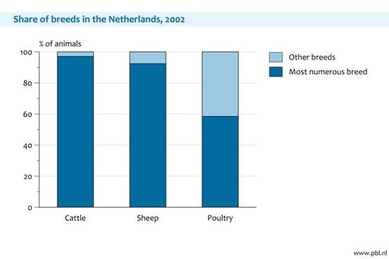 Figure 7. Dutch livestock largely consists of a single or very few highly productive breeds which are globally used