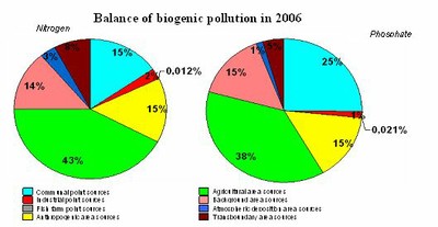 Fig. 10 Balance of biogenic pollution in 2006 (Source: HELCOM PLC-5)