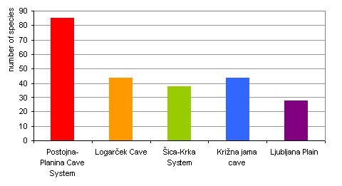 Figure 1: Number of cave-living species in selected sites in Slovenia with the highest subterranean biodiversity. (*Note: There are no terrestrial underground fauna in the interstitial water of the Ljubljana Plain)