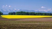 Austria country briefing  - The European environment — state and outlook 2015 