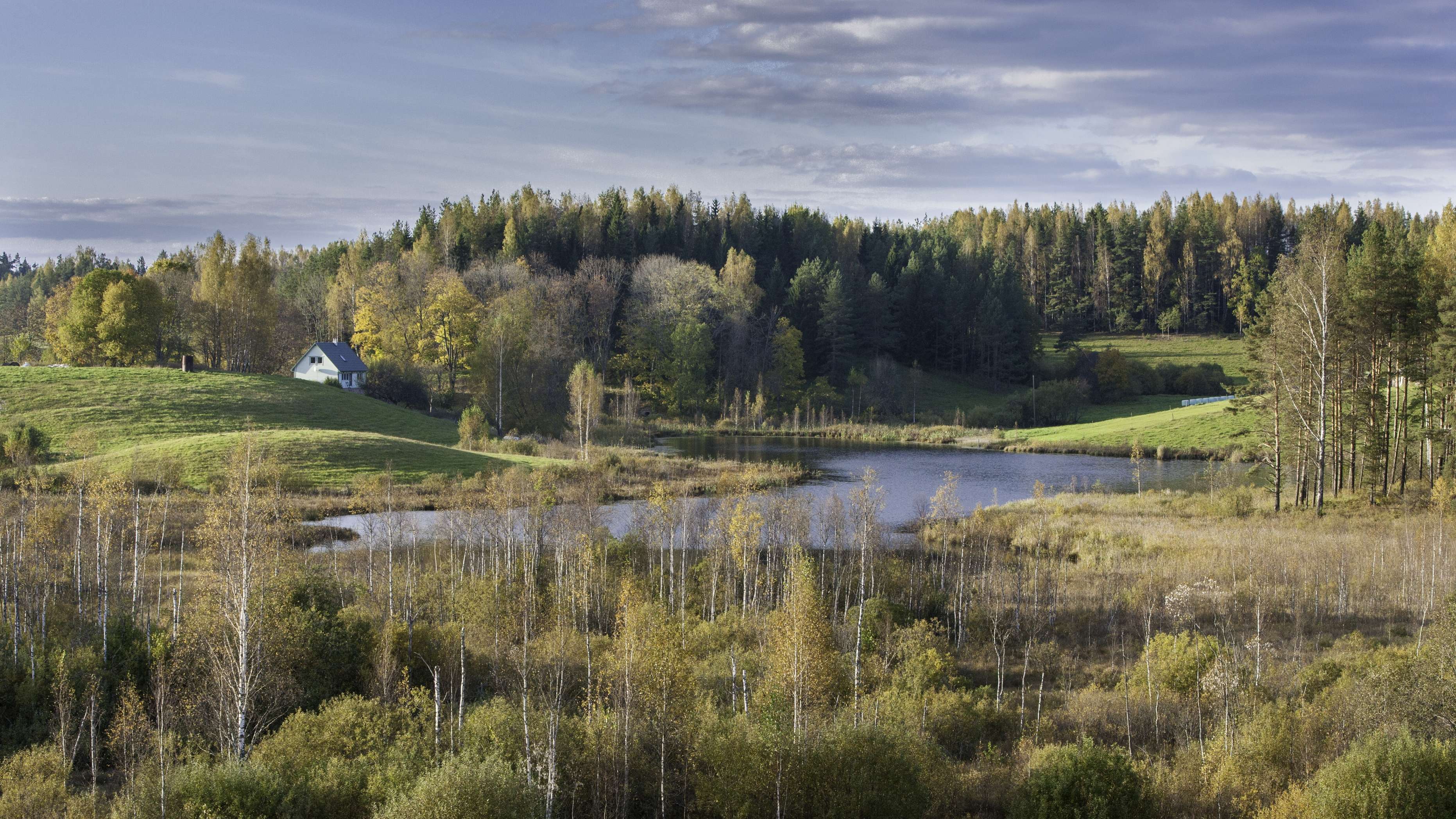 Estonia country briefing - The environment — state outlook — Environment Agency