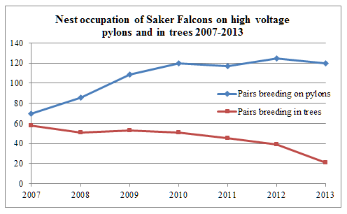 Under the Accessible Sky agreement the cooperating partners also support the nesting of Saker Falcons with nestboxes mounted on pylons.