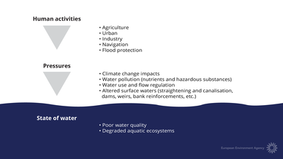 Relationship between driving force, pressures and the state of water