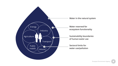 Sustainable water allocations to ecosystems and competing users