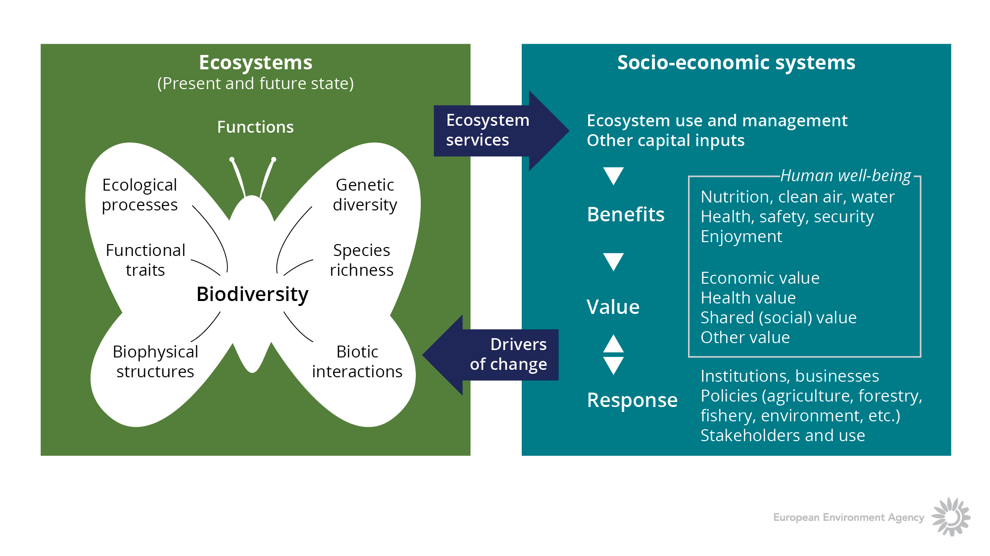 Forstå Vågn op deadline Natural capital and ecosystem services — European Environment Agency