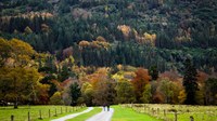 Into the Fall