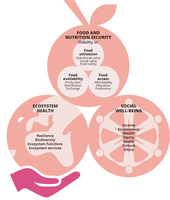 Food system desired outcomes