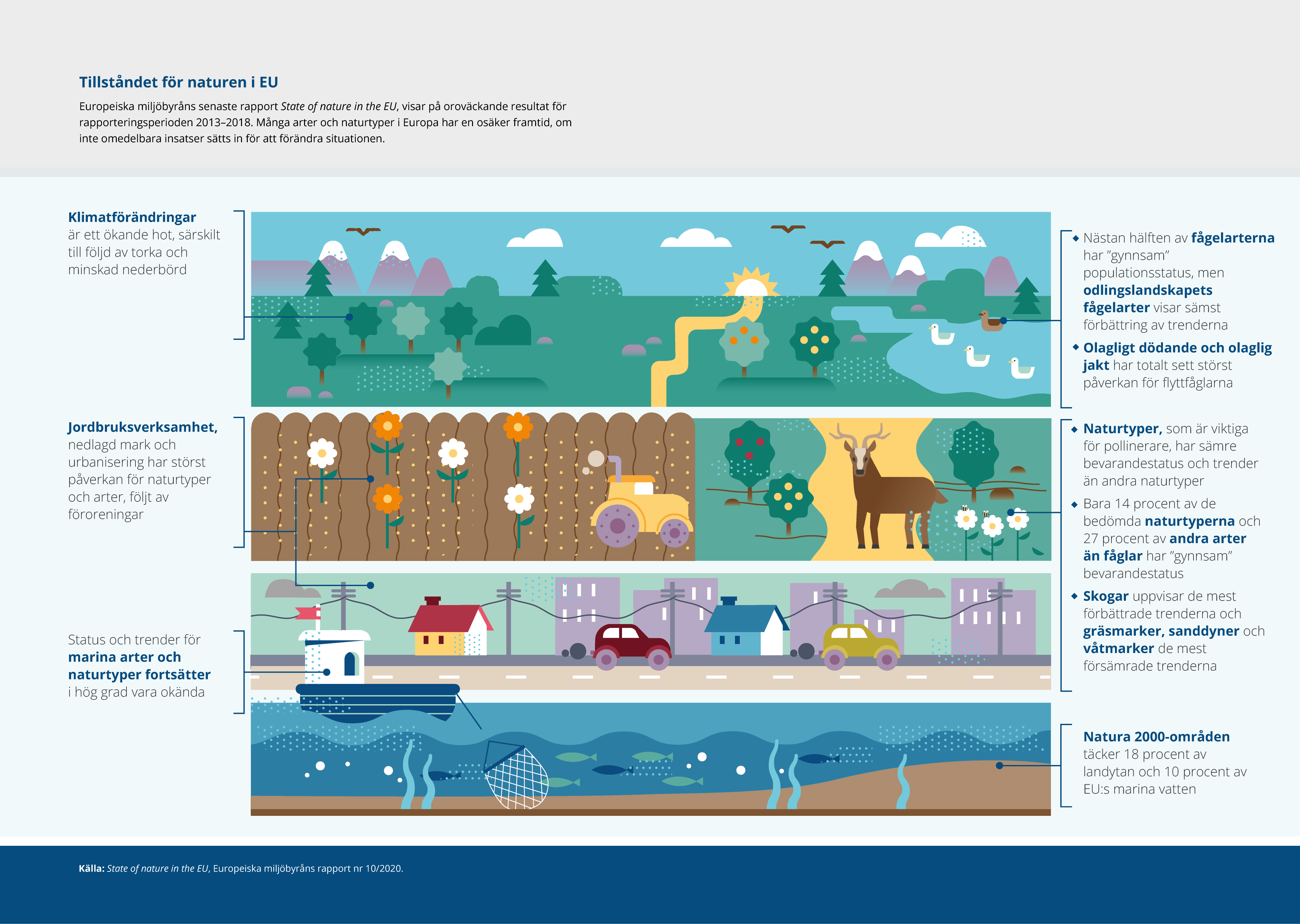 Europeiska miljöbyråns senaste rapport State of nature in the EU, visar på oroväckande resultat för rapporteringsperioden 2013–2018. Många arter och naturtyper i Europa har en osäker framtid, om inte omedelbara insatser sätts in för att förändra situationen.