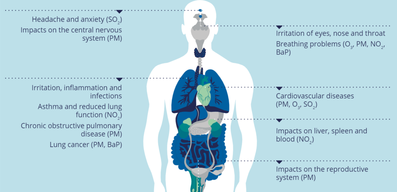 Health impacts of air pollution