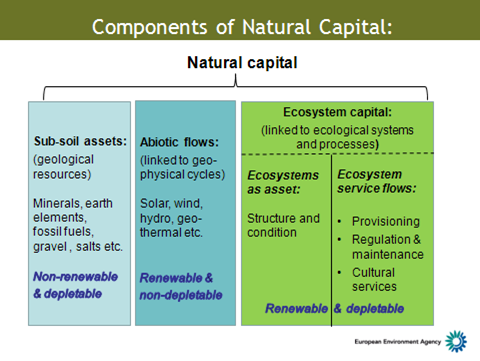 Components of Natural Capital