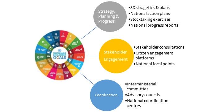 Fig.4 SDG processes in Eionet Countries