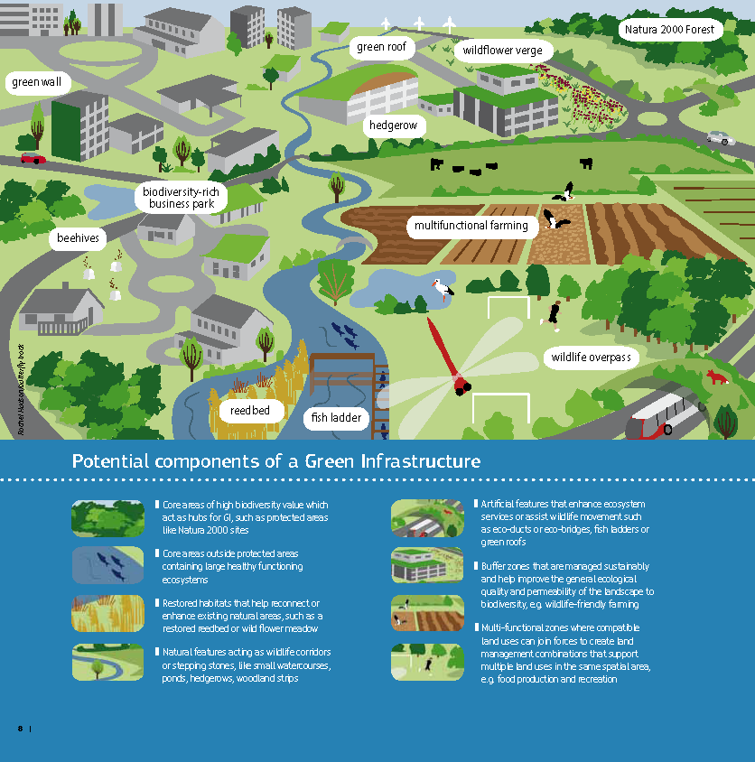Potential components of a Green Infrastructure