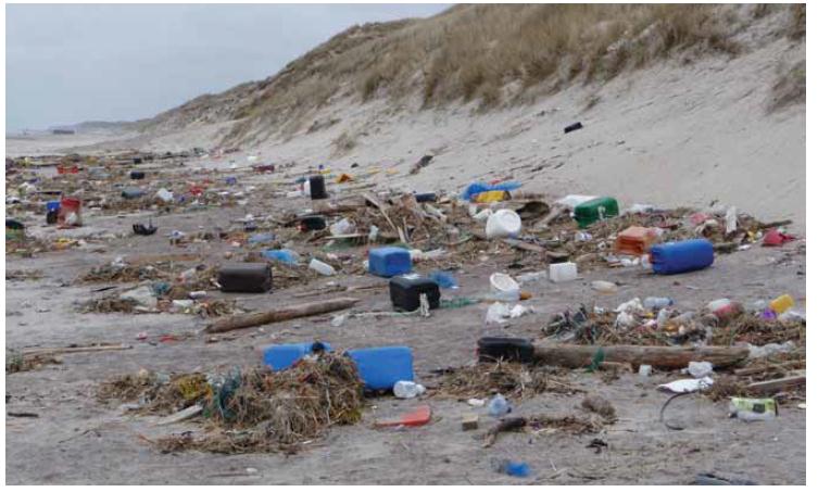 Marine litter on a beach.